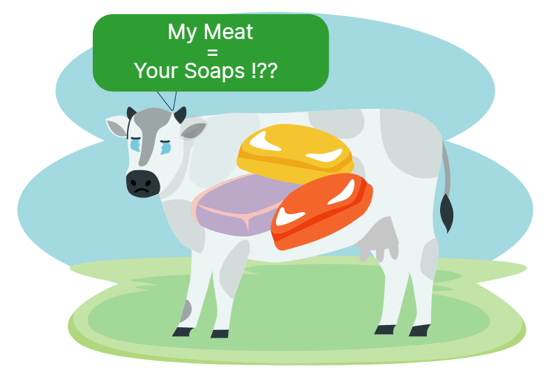 Animal ingredients illustration